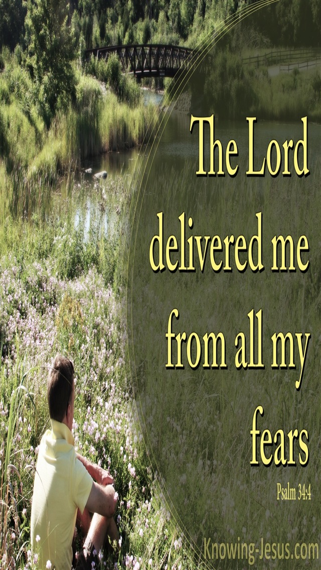 Psalm 34:4 He Delivered Me From My Fears (yellow)